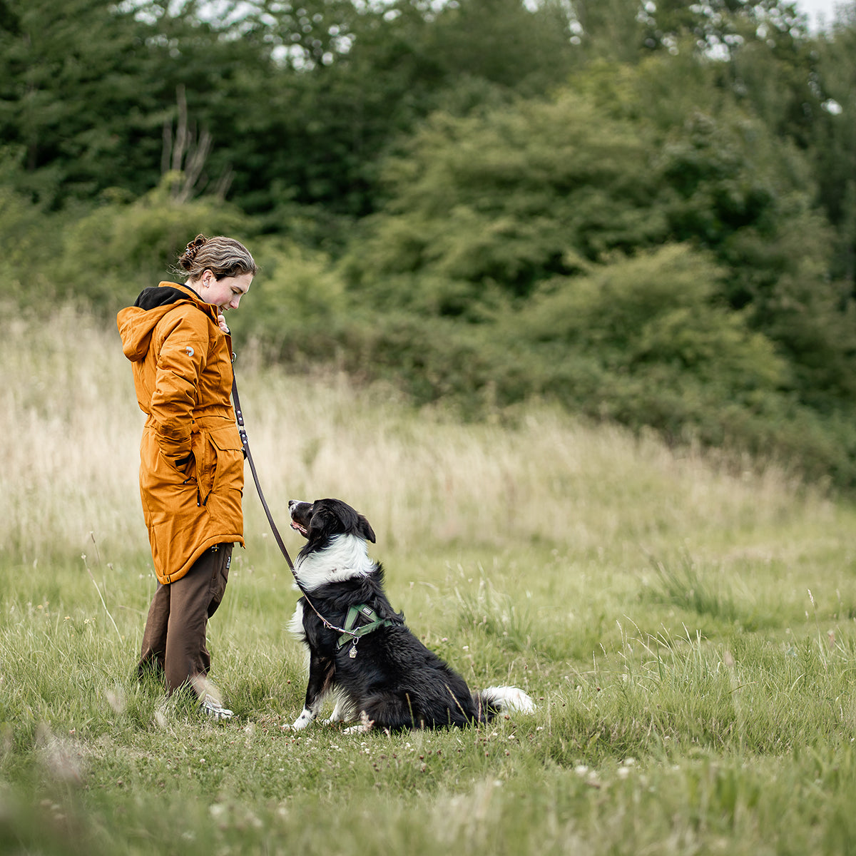 Parka Jacket 10.0 | Mustard | Adi – DogCoach