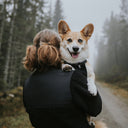 Teddy 2.0 | Unisex | Black | Oslow