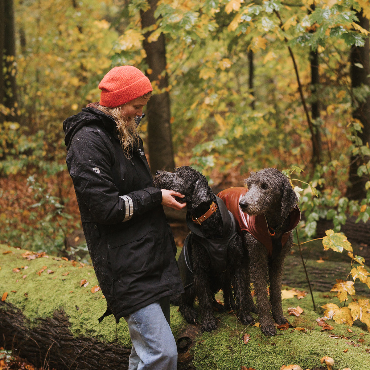Parka Jacket 10.0 | Black | Zoffi – DogCoach