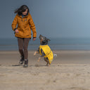 KeepDry 2.0 | Mustard | Splinter