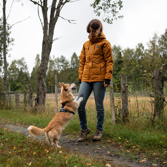 KeepDry 2.0 | Mustard | Splinter