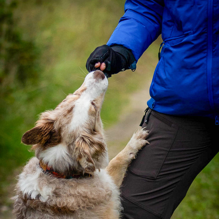 DogCoach Allround Treat Gloves | Unisex | Black | Miley