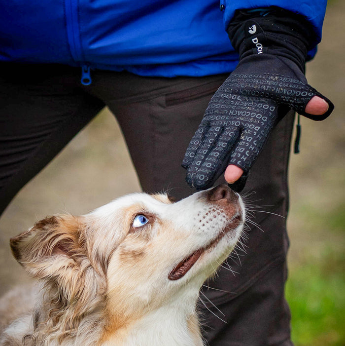DogCoach Allround Treat Gloves | Unisex | Black | Miley