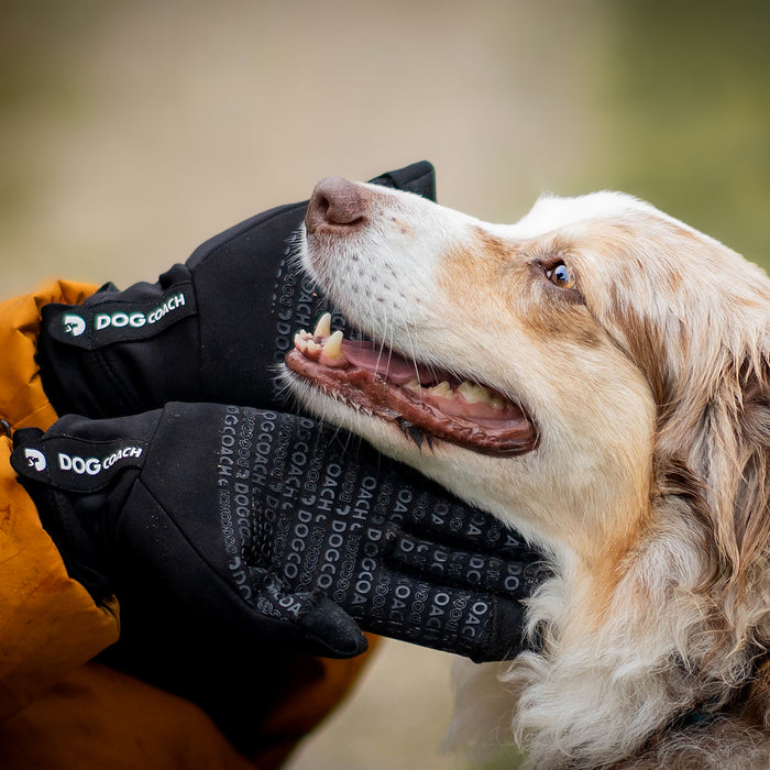 DogCoach Allround Treat Gloves | Unisex | Black | Miley