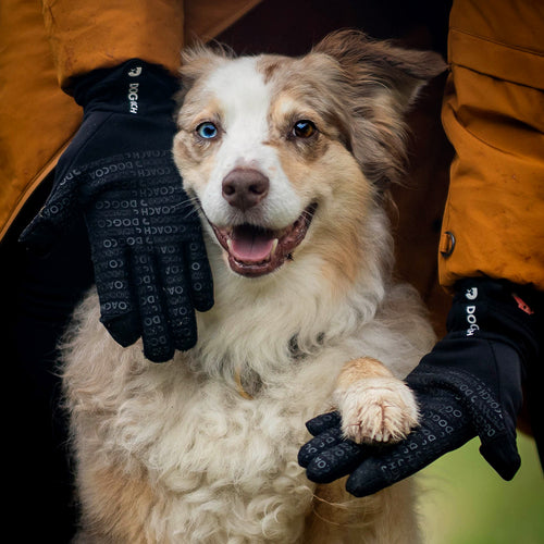 DogCoach Allround Treat Gloves | Unisex | Black | Miley