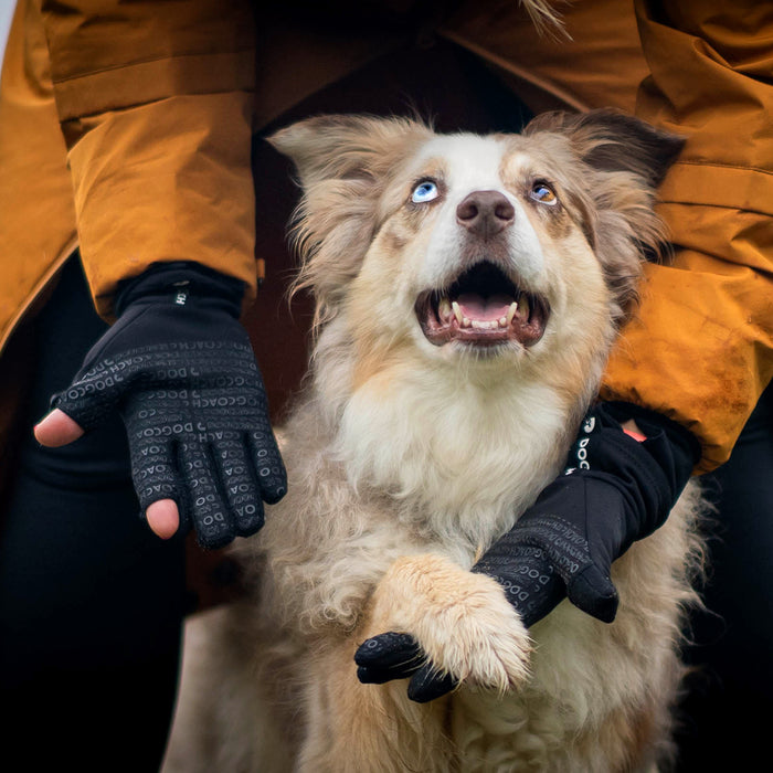 DogCoach Allround Treat Gloves | Unisex | Black | Miley