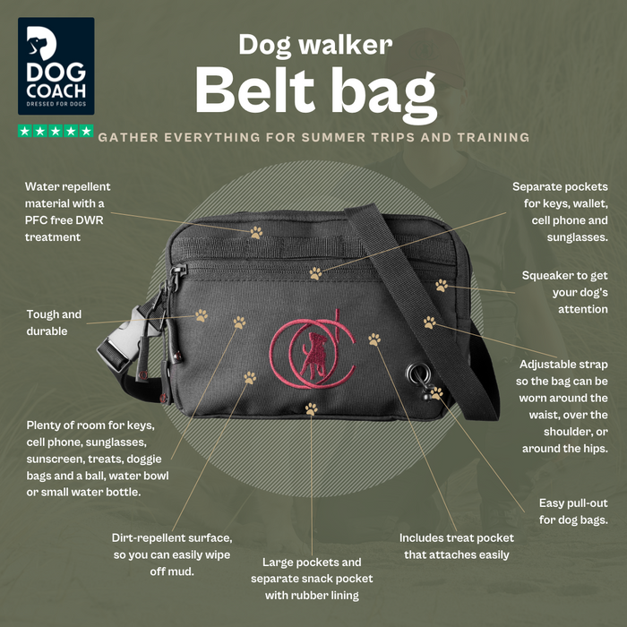 Belt Bag | Beetle | Marley