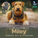 DogCoach Allround Treat Gloves | Unisex | Black | Miley