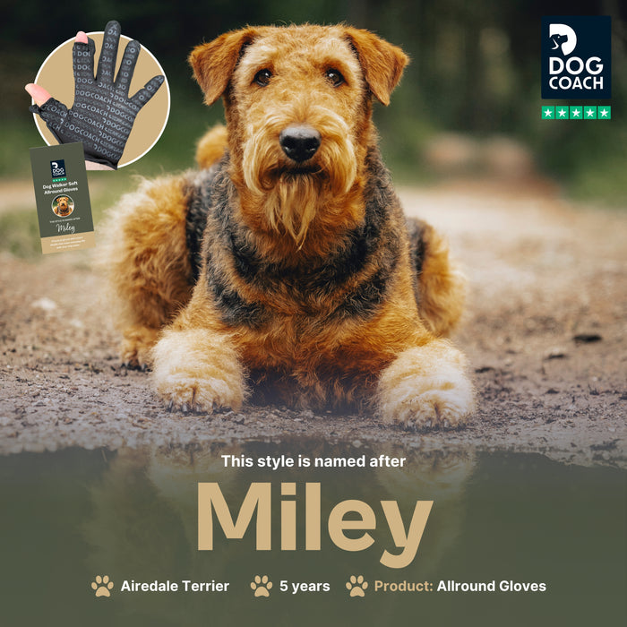 DogCoach Allround Treat Gloves | Unisex | Black | Miley