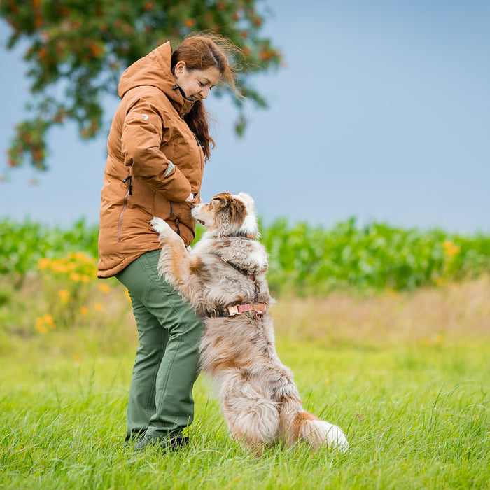 DogCoach KeepDry Jacket | Caramel | Kaydo