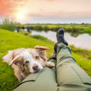 Hundelufterbukser 2.0 | Vinter | Beetle | Short | Jax