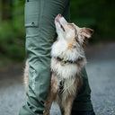 Hundelufterbukser 2.0 | Vinter | Beetle | Short | Jax