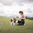 DogCoach Treat Pocket | Elite | XL | Black | Perro