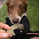 DogCoach Treat Pocket | Elite | XL | Bison | Odin