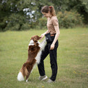 DogCoach Treat Pocket | Hobby | XL | Bison | Archie