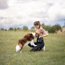 DogCoach Treat Pocket | Elite | Regular | Bison | Natz