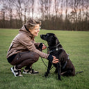 FeelFree Dog Walker Tights | Bison | Coco