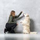 FeelFree Dog Walker Tights | Sort | Ruby