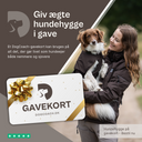 DogCoach Giftcard