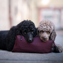 Pack&Carry Shell Jacket 2.0 | Red | Merry