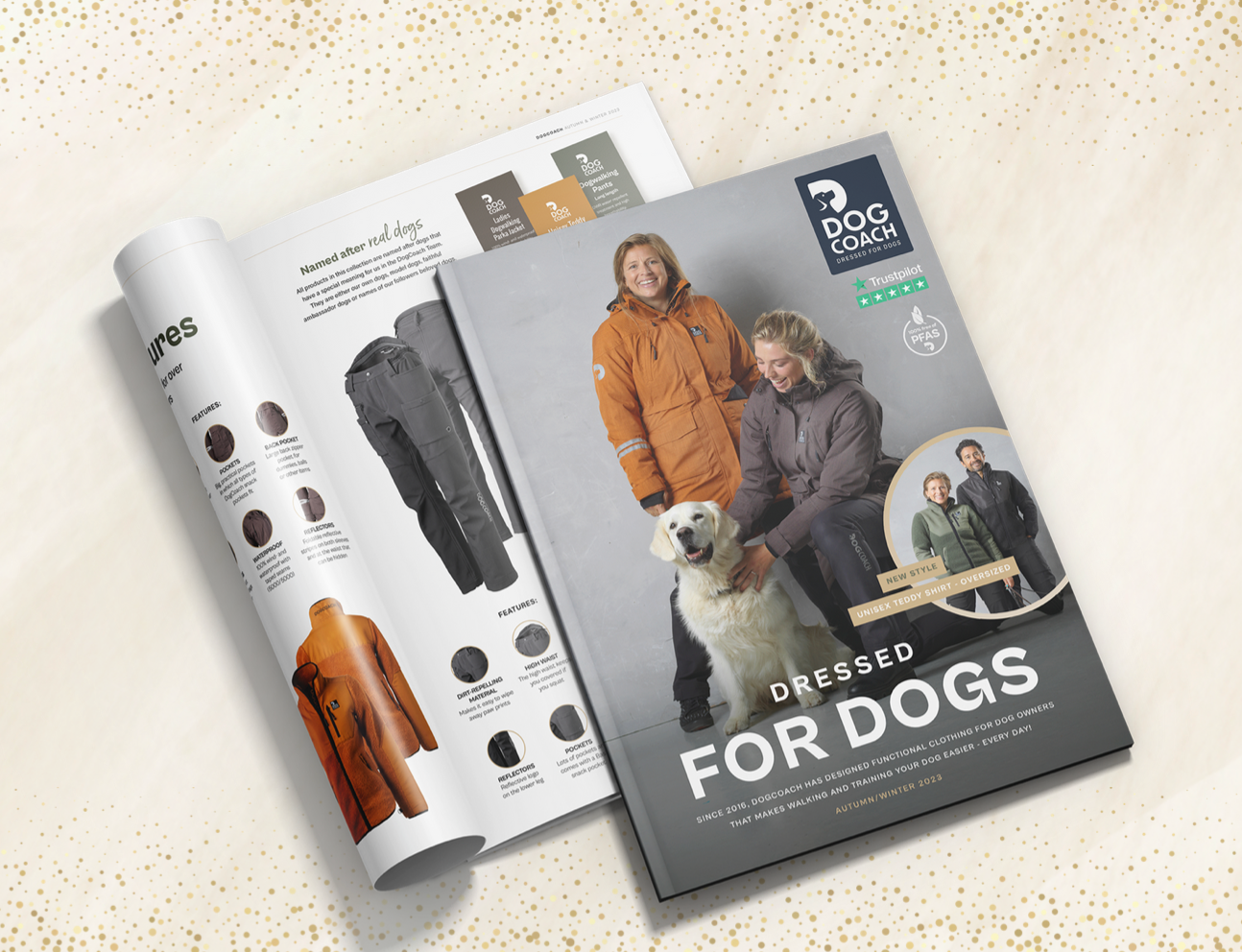2022 New Design Antumn Winter Baseball Sweater Corgi Clothing Pet Sports  Clothing Warm Winter Dog Clothing - China Dog Clothing and Wholesale Dog  Clothes price