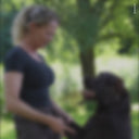 Winter Pants 2.0 | Short | Beetle | Jax