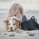 Dog Walking Bag 6.0 | Tuuli