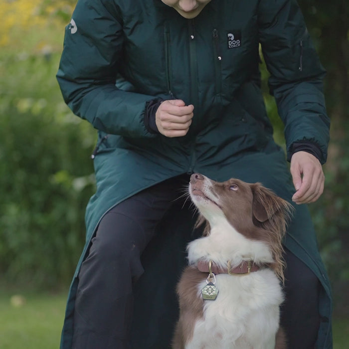 Long KeepDry Dog Walker Coat | Bison | Molly
