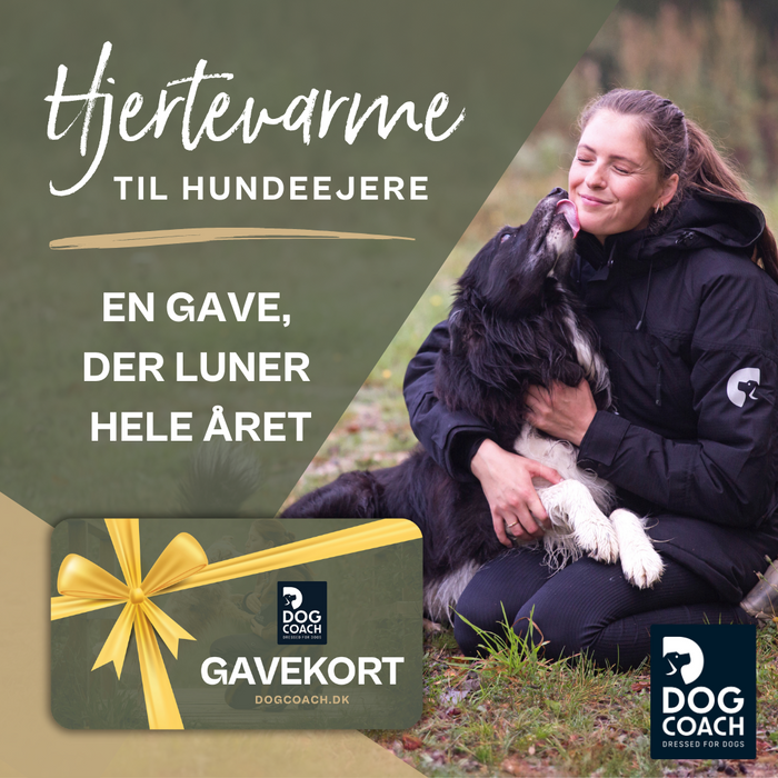 DogCoach Gavekort