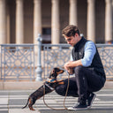 Elite Dog Training Vest | Black | Boss