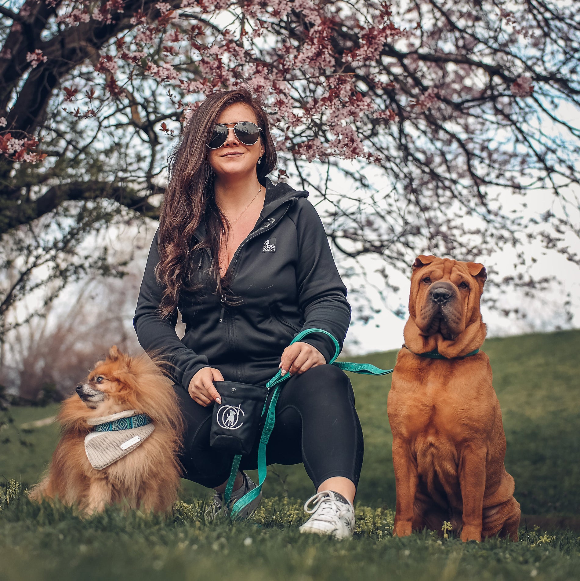 Dog Walker Hoodie | Black | Luna – DogCoach International