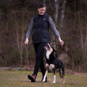 Elite Dog Training Vest | Black | Bamboo