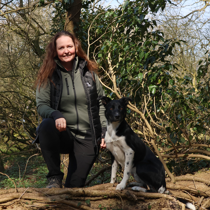 Dog Walker Hoodie | Beetle | Dice